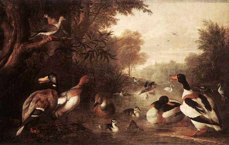 Jakob Bogdani Landscape with Ducks France oil painting art
